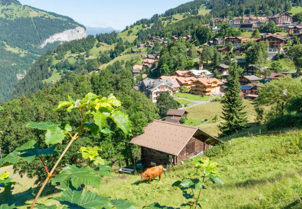 Panoramapark Soleil Chalet B Wengen Exterior foto